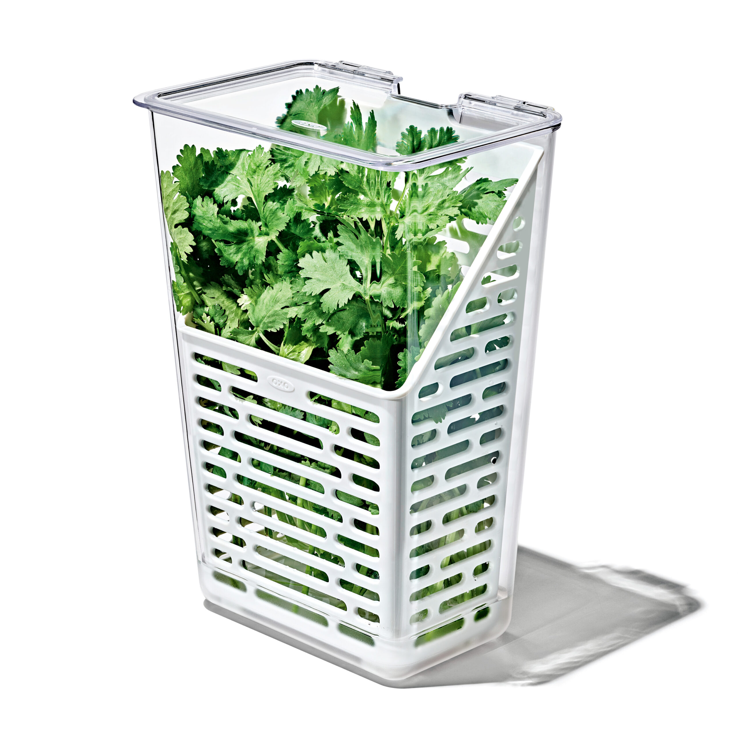 Produce Saver – Kräuterkasten